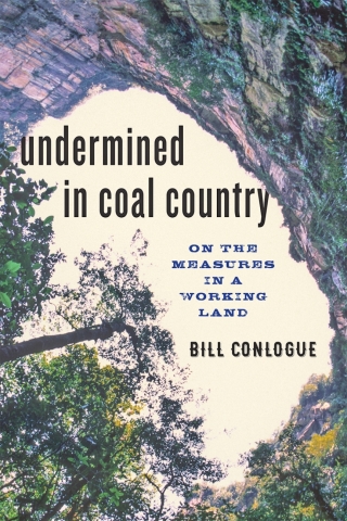 表紙画像: Undermined in Coal Country 9781421423180
