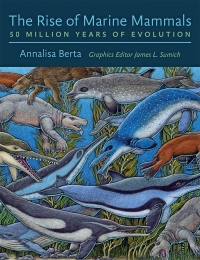 Cover image: The Rise of Marine Mammals 9781421423258