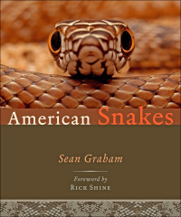Omslagafbeelding: American Snakes 9781421423593