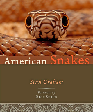 Cover image: American Snakes 9781421423593