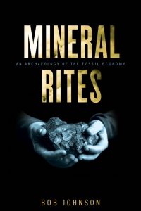 Cover image: Mineral Rites 9781421427560