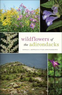 Omslagafbeelding: Wildflowers of the Adirondacks 9781421431109