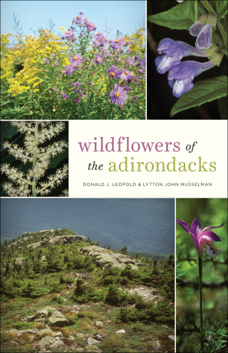 Imagen de portada: Wildflowers of the Adirondacks 9781421431109