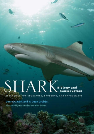 Titelbild: Shark Biology and Conservation 9781421438368
