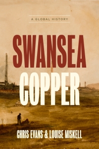 Titelbild: Swansea Copper 9781421439112