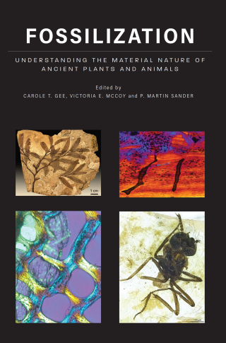 Cover image: Fossilization 9781421440217