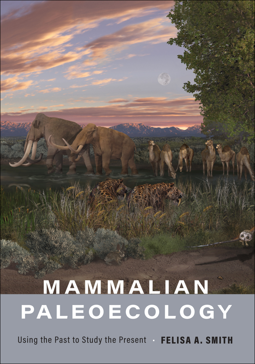 Mammalian Paleoecology Using the Past to Study the Present