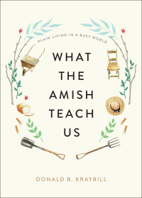 表紙画像: What the Amish Teach Us 9781421442174