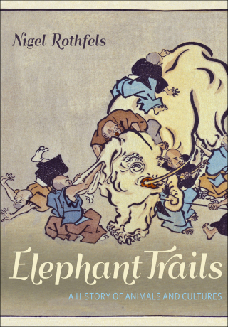 Imagen de portada: Elephant Trails 9781421442594