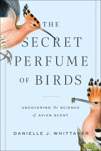 Cover image: The Secret Perfume of Birds 9781421443478