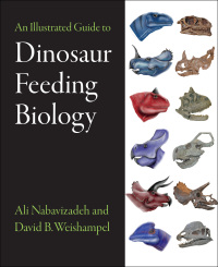 Cover image: An Illustrated Guide to Dinosaur Feeding Biology 9781421413532