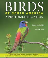 Cover image: Birds of North America 9781421448268