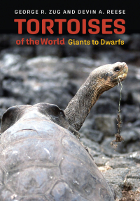 Imagen de portada: Tortoises of the World 9781421448350