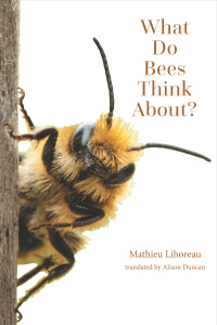 Cover image: What Do Bees Think About? 9781421448589