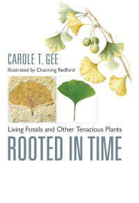 Cover image: Rooted in Time 9781421449388