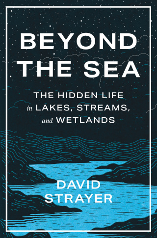 Cover image: Beyond the Sea 9781421450070