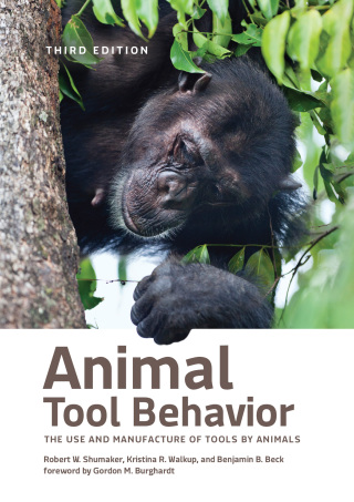 Imagen de portada: Animal Tool Behavior 3rd edition 9781421450292
