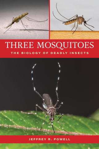 Cover image: Three Mosquitoes 9781421451695