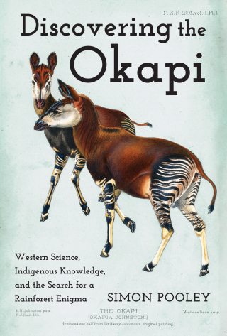 Imagen de portada: Discovering the Okapi 9781421452487