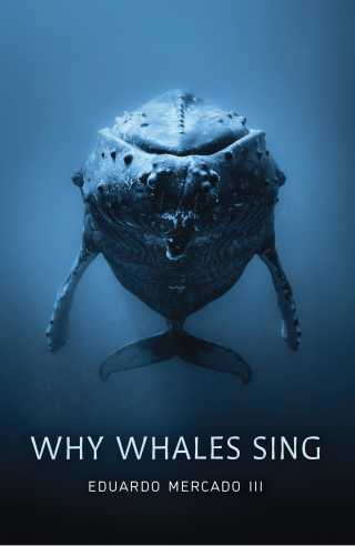 Cover image: Why Whales Sing 9781421452890