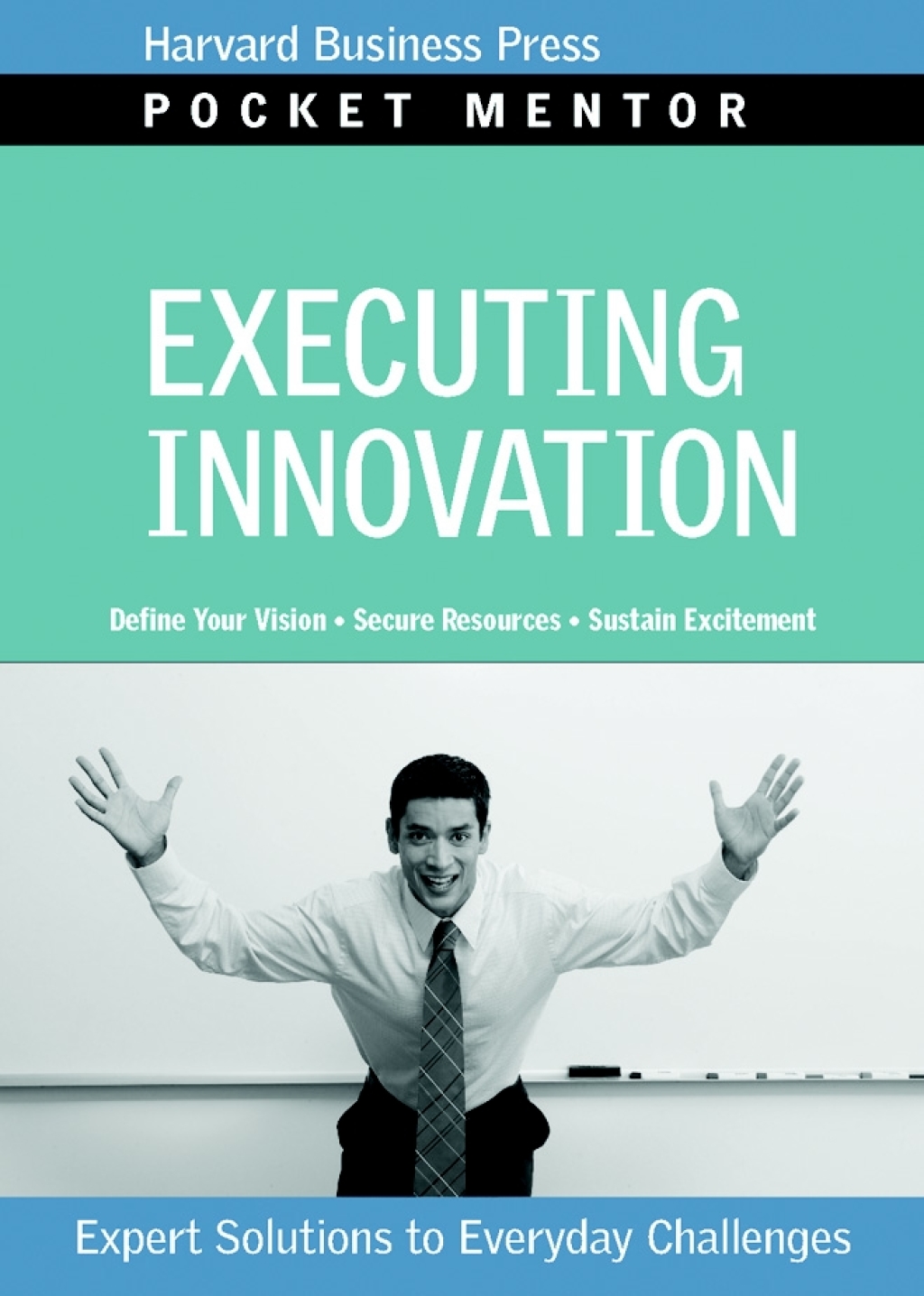 Executing Innovation (eBook)