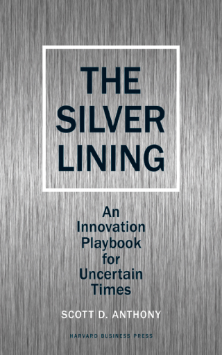 Imagen de portada: Silver Lining 9781422139011