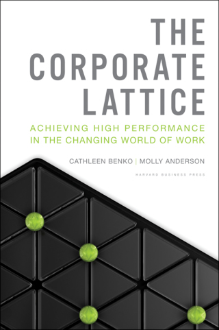 صورة الغلاف: The Corporate Lattice 9781422155165