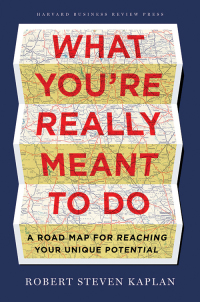 Cover image: What You're Really Meant to Do 9781422189900