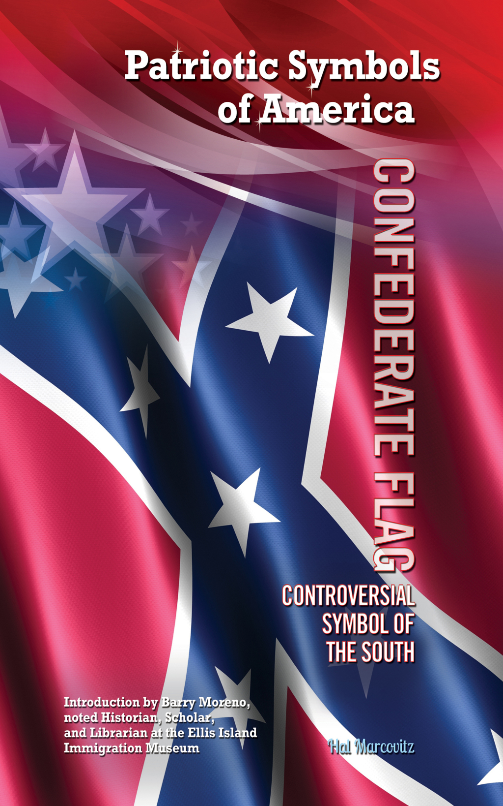 Confederate Flag Controversial Symbol of the South