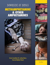 Cover image: Methamphetamine & Other Amphetamines 9781422230237