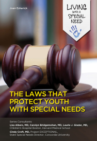 Cover image: The Laws That Protect Youth with Special Needs 9781422230398