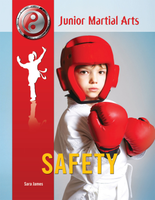 Cover image: Safety 9781422227374