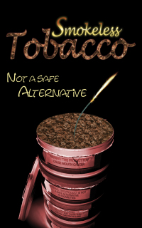 Cover image: Smokeless Tobacco: Not a Safe Alternative 9781422202418