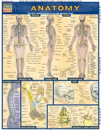 صورة الغلاف: Anatomy - Reference Guide (8.5 x 11) 1st edition 9781423222781