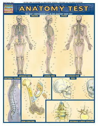 Cover image: Anatomy Test 1st edition