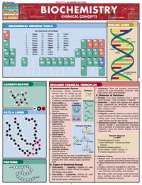 Titelbild: Bio Lab Basics 1st edition 9781423204176