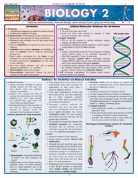 Imagen de portada: Biology 2 1st edition 9781572228269