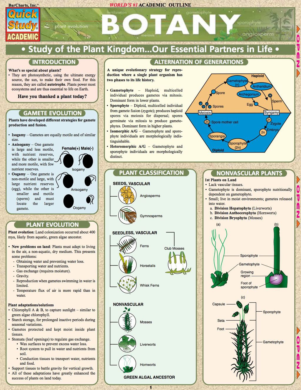 Botany 1st Edition