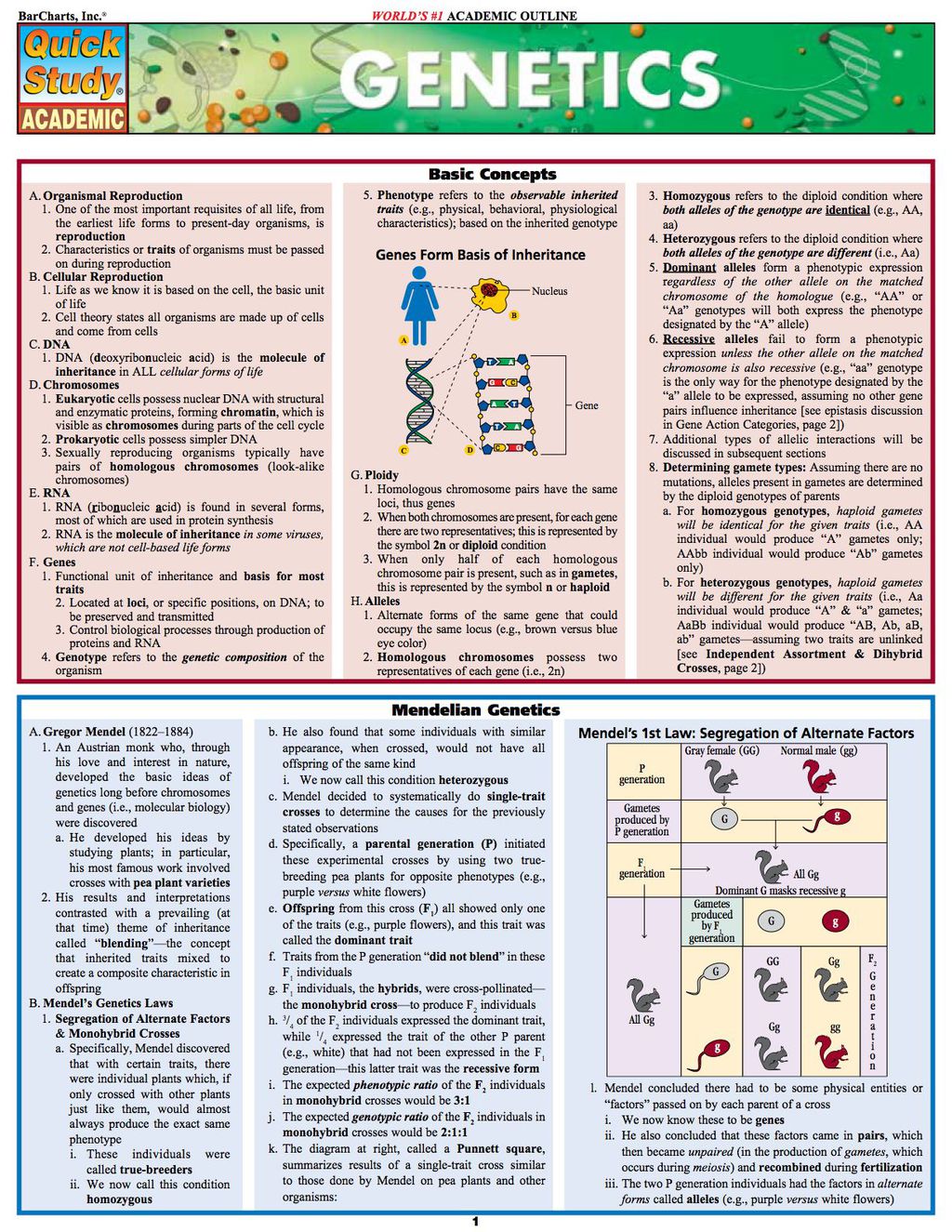 Genetics 1st Edition