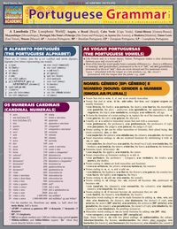 Cover image: Portuguese Grammar 1st edition 9781572228771