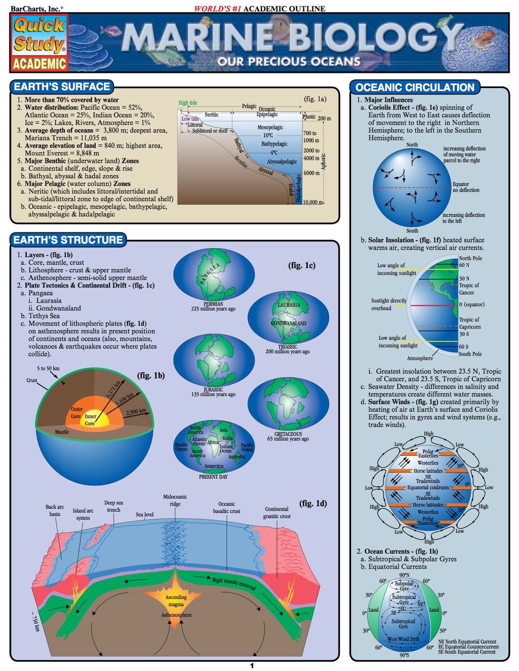 Marine Biology 1st Edition