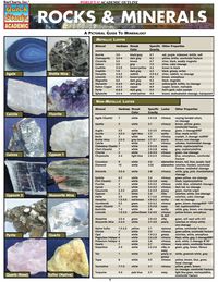 表紙画像: Rocks & Minerals 1st edition 9781572225619