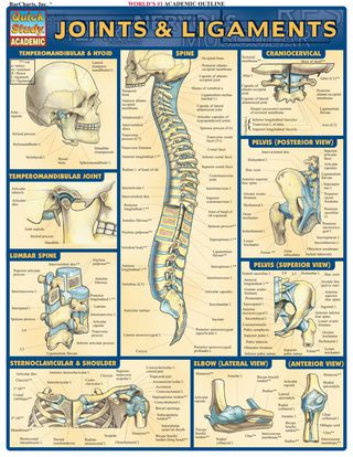 Cover image: Joints & Ligaments 1st edition 9781572226845