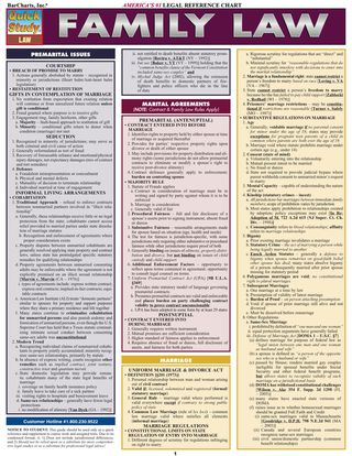 Cover image: Family Law 1st edition 9781423208341