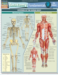 Cover image: ANATOMY STUDY GUIDE 9781423209829
