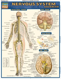 Cover image: NERVOUS SYSTEM ADVANCED REFERENCE GUIDE 9781423215066