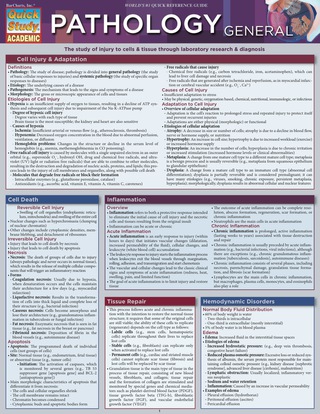 Cover image: QUICKSTUDY-PATHOLOGY: GENERAL 1st edition 9781423216971