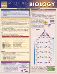Cover image: MOLECULAR BIOLOGY   STUDY GUIDE 9781423218739