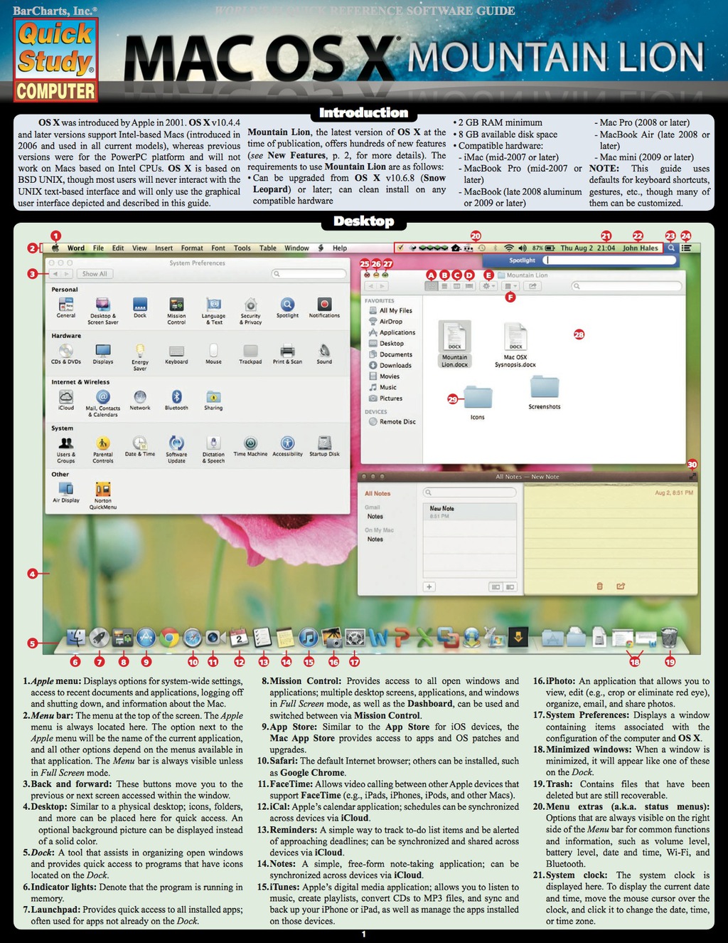 QUICKSTUDY-MAC OSX MOUNTAIN LION 1st Edition