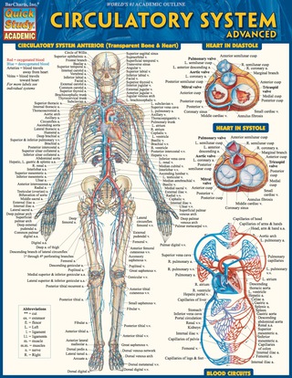 Cover image: QUICKSTUDY-CIRCULATORY SYSTEM ADVANCED 1st edition 9781423220374